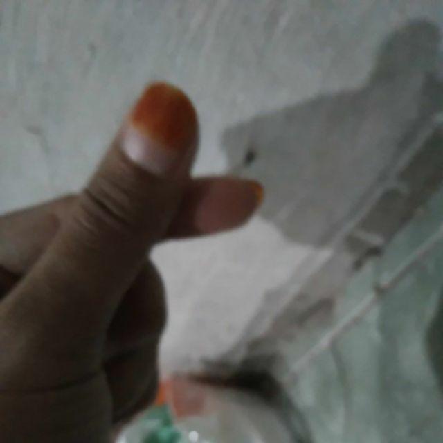 Karabiner Alumunium Quickdraw Buckle Hanging Baja Tahan Karat