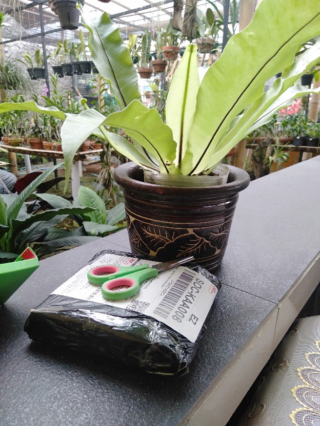 Thermafreeze Lembaran Pendingin Pengganti Ice Gel Es Batu Dry Ice Asi Makanan Obat Thermafreezze