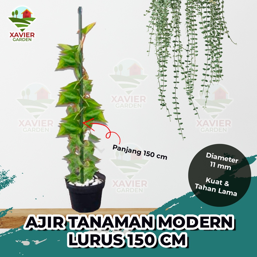PENYANGGA / AJIR TANAMAN MODERN LURUS 150 CM