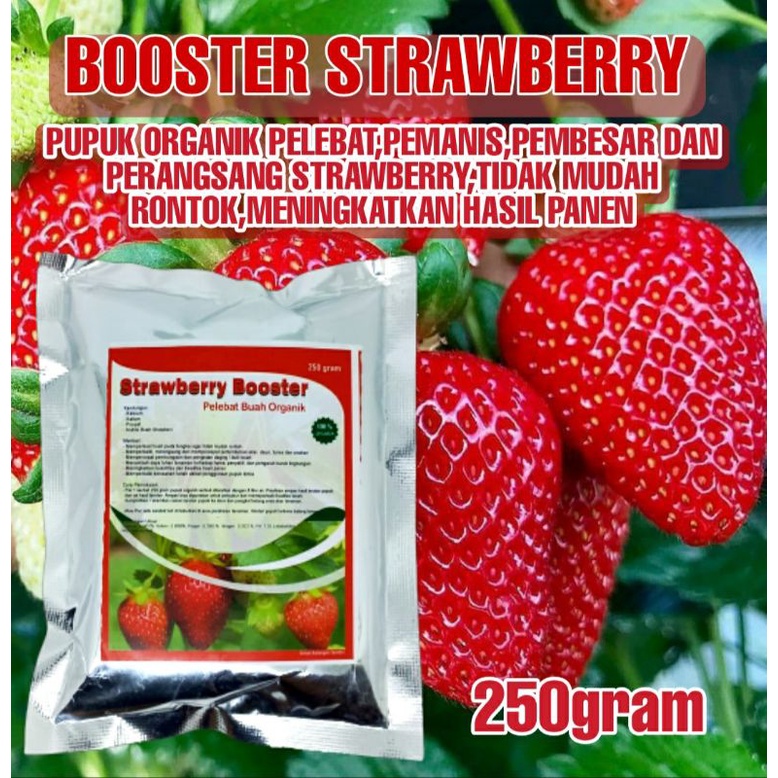 Booster Strawberry Organik,Pupuk Organik Pemicu buah strobery agar cepat berbuah lebat subur buah tidak rontok