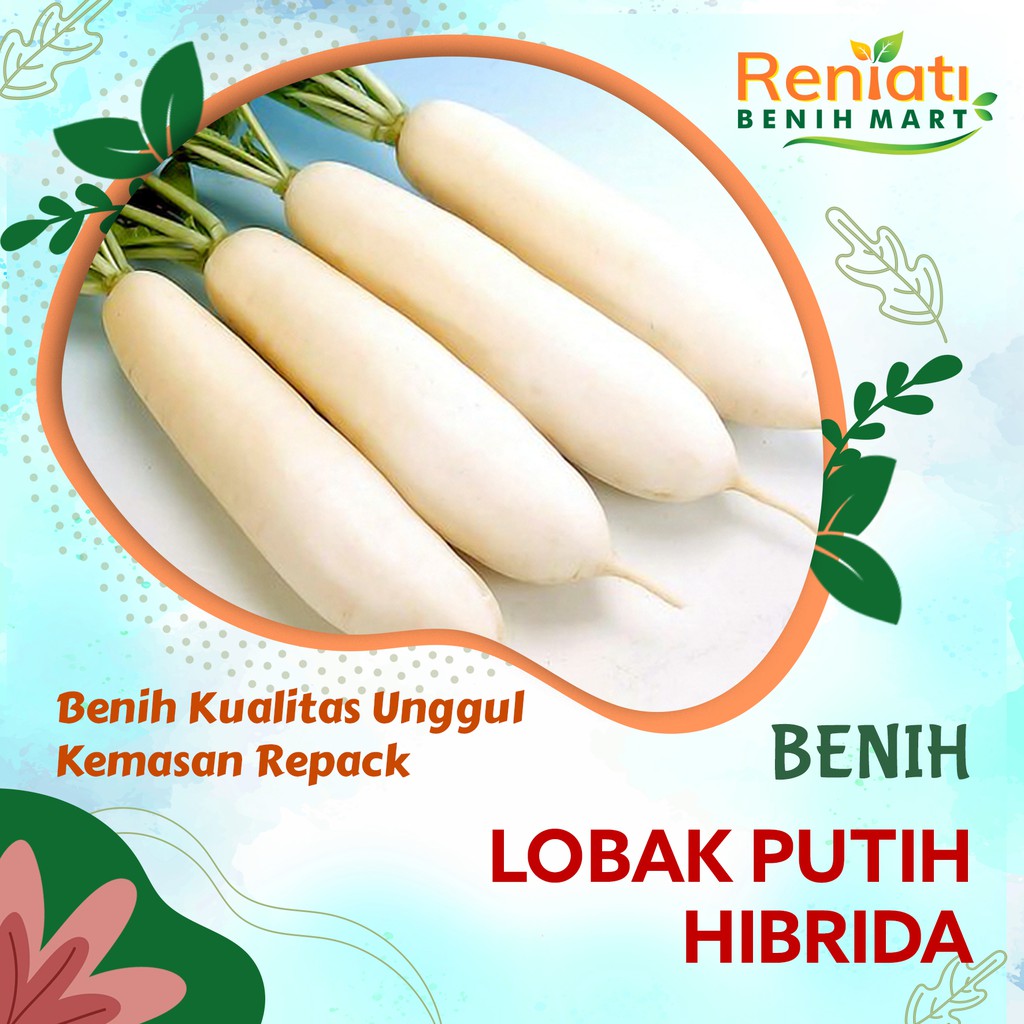 50 Benih lobak putih super - bibit lobak