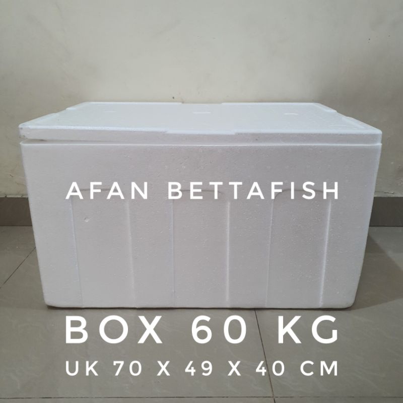 STYROFOAM BOX 60KG 70 x 49 x 40 CM BOX STEREFOAM 60 KG