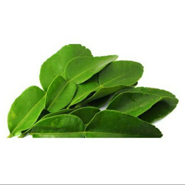 

Daun jeruk