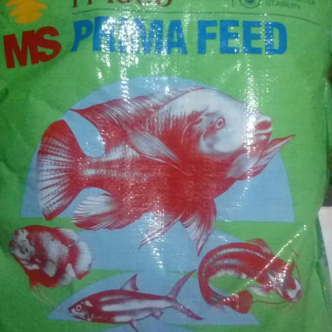 Pakan Makanan Benih bibit ikan Lele Nila Gurame Pelet PF 1000 1 kg