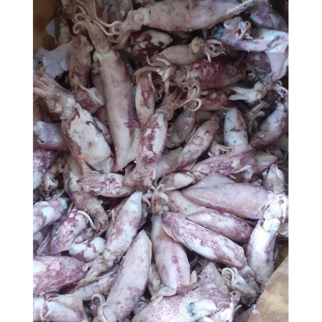 

cumi asin fresh asli pangandaran