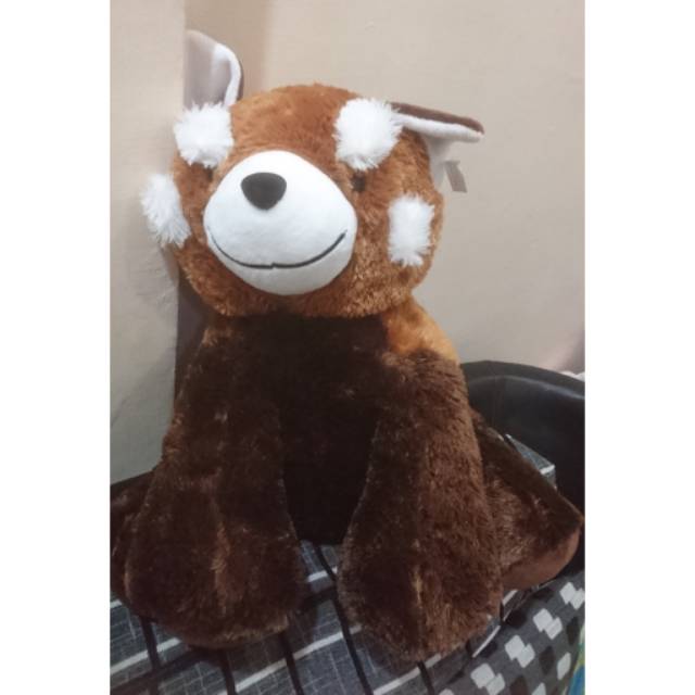 Boneka timezone racoon
