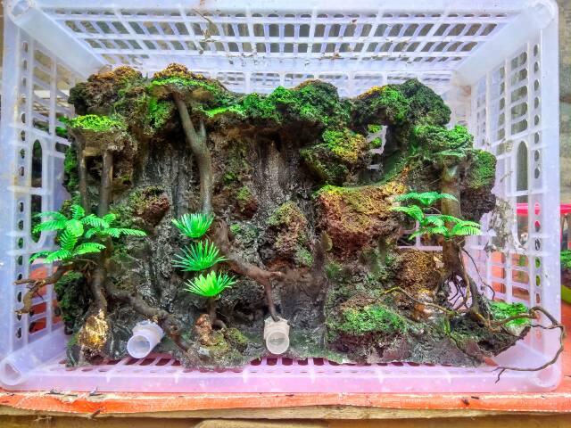 Waterfall Aquascape Air Terjun Kembar Shopee Indonesia