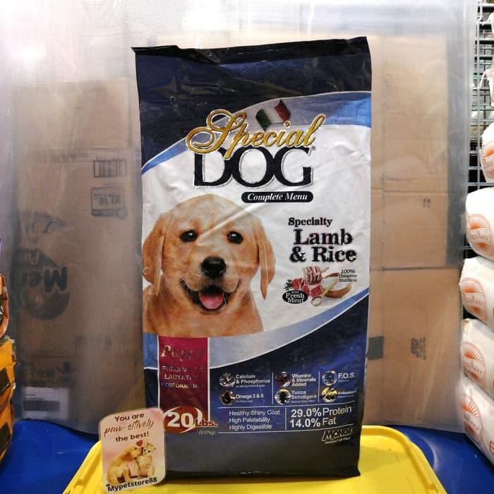 temporary cat shelter