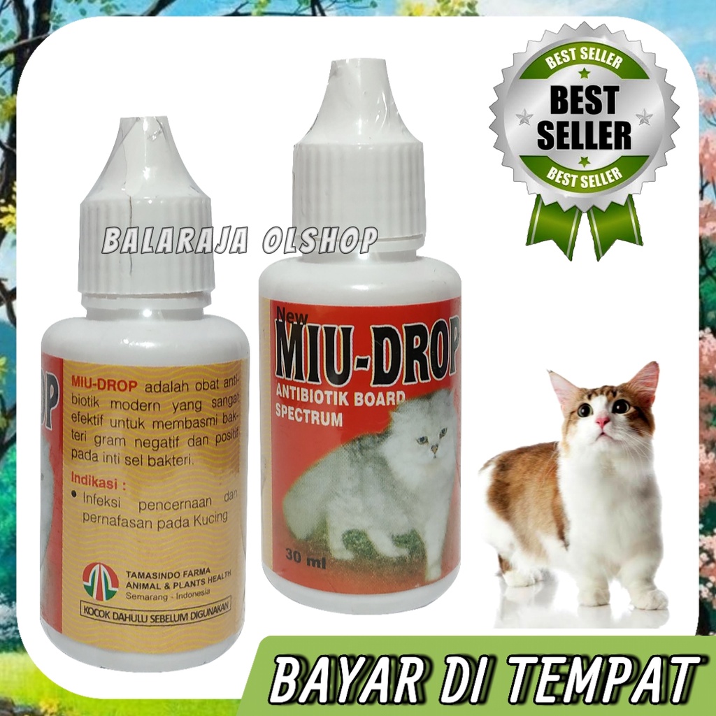 Obat Antibiotik Kucing Menjaga Kekebalan Tubuh Anak Kucing Antibiotik Virus - Miu Drop