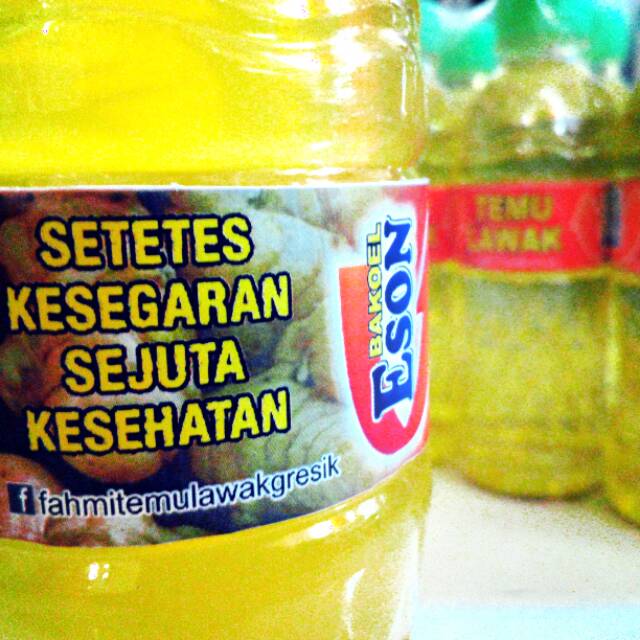 

TEMULAWAK - Setetes kesegaran Sejuta kesehatan