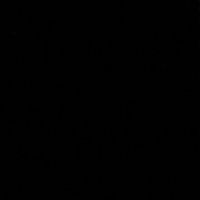 [cod] Botol Minum Big Bear 500ml