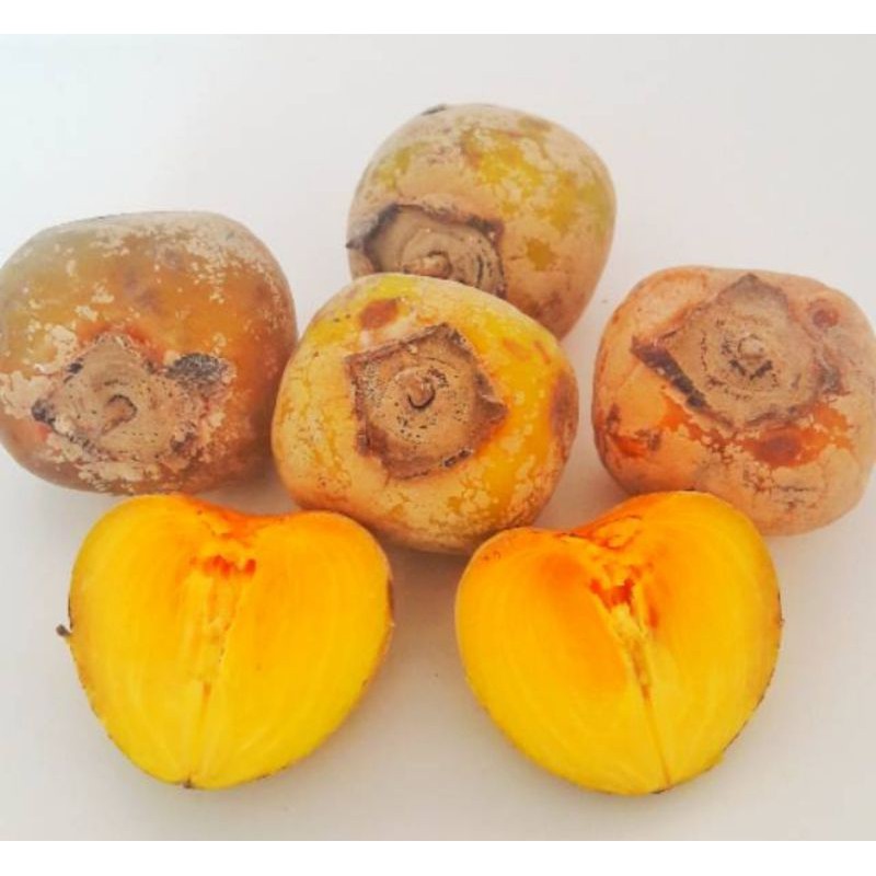 

BUAH KESEMEK SEGAR 1KG