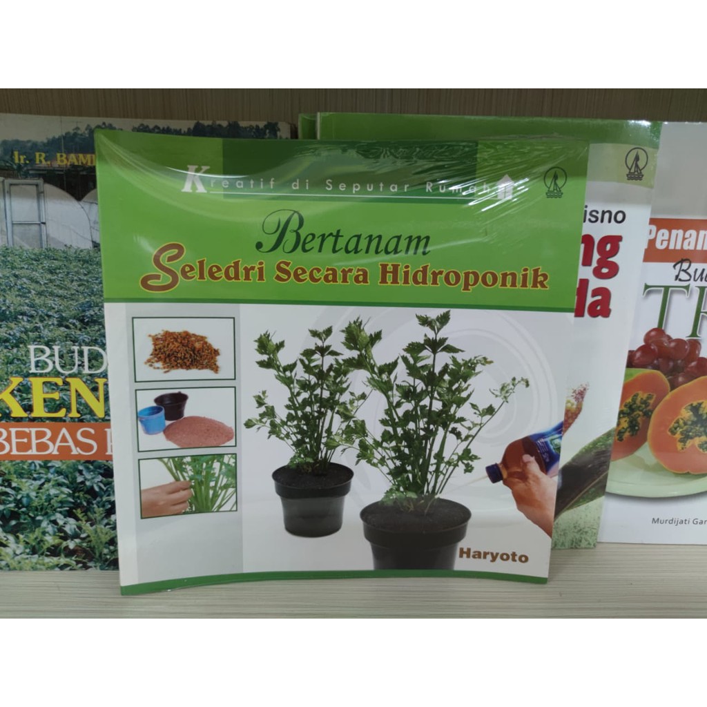 Bertanam Seledri Secara Hidroponik