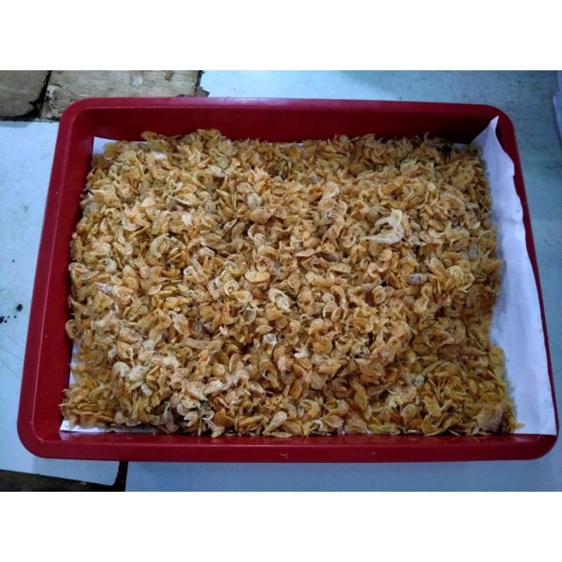 

Rebon Tawar Murah