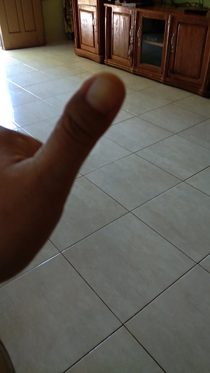 Modifikasi Keong Pompa Air Jet 400 Pompa Kolam Ikan 24 Jam Nonstop