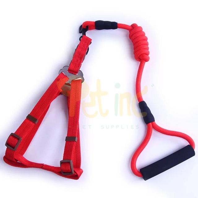 Dog rope H harness set