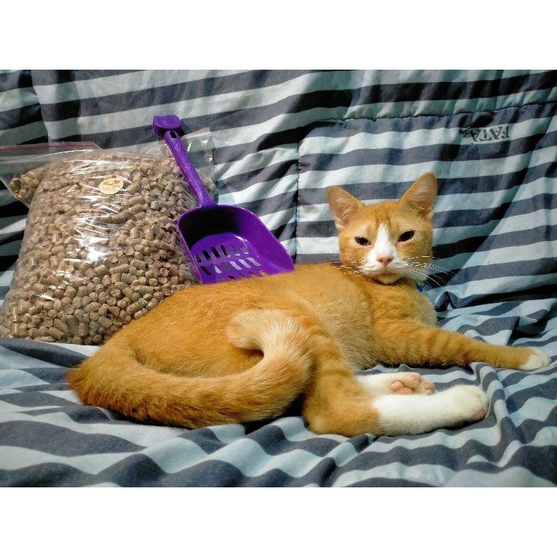 Paket Happy C Pasir Kucing Wood Pellet VR Repack 5 Kg +  Sekop Pasir