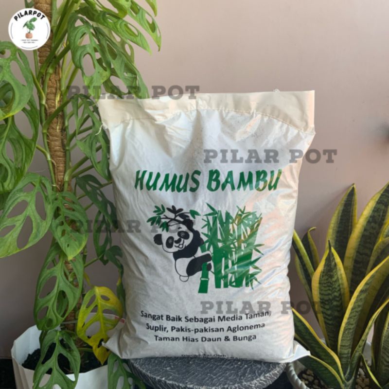 Media Tanam Humus Bambu Untuk Aglonema dan Tanaman hias - HUMUS BAMBU