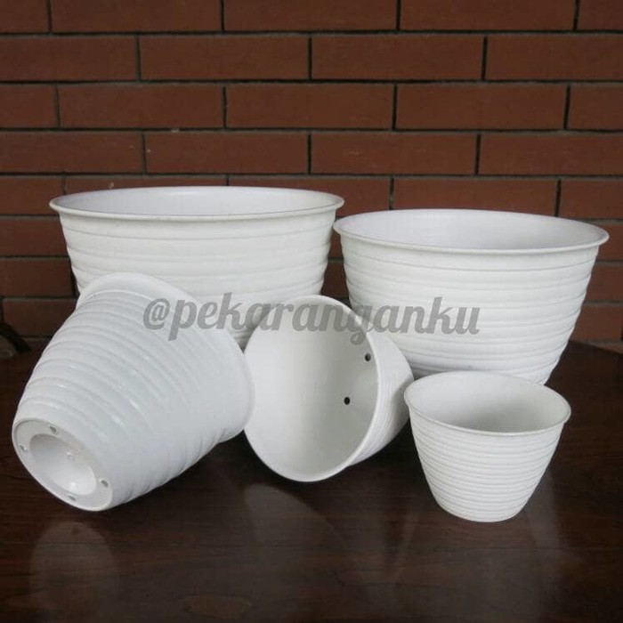  Pot  Tawon  Putih  30 3pcs kg Shopee  Indonesia