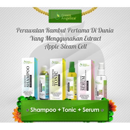 TERLARIS Perawatan Rambut Rontok dan Botak Alami Green Angelica [ORIGINAL]