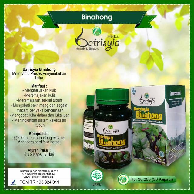 Extrak Daun Binahong/kapsul Binahong/ daun  binahong