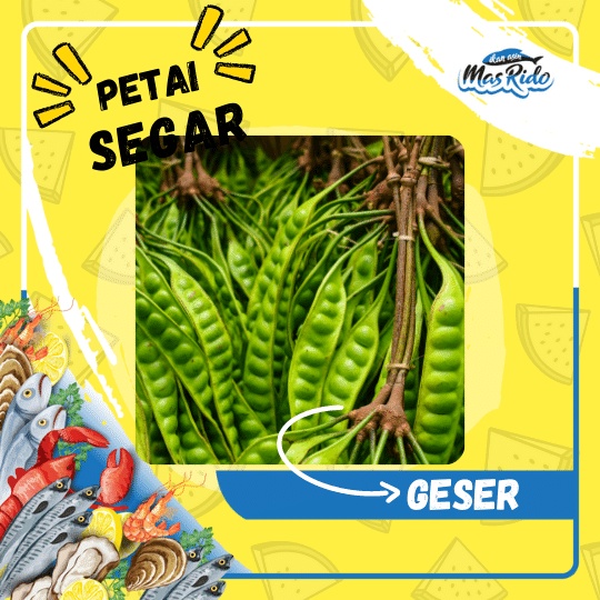 

PETE MUDA PETAI SEGAR SAYUR FRESH KWALITAS SUPER HARGA MURAH PER PAPAN