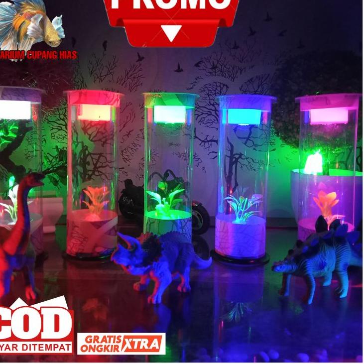 Lariiss... Aquarium Ikan Cupang Guppy Mini Tabung Full Hiasan Dan Lampu Dekorasi Ruang Tamu Kamar Ti