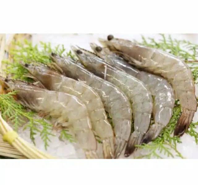 Udang / Ikan Tuna / Ikan Kembung Banjar/ Tongkol / Cumi / Cakalang / Selar Kuning