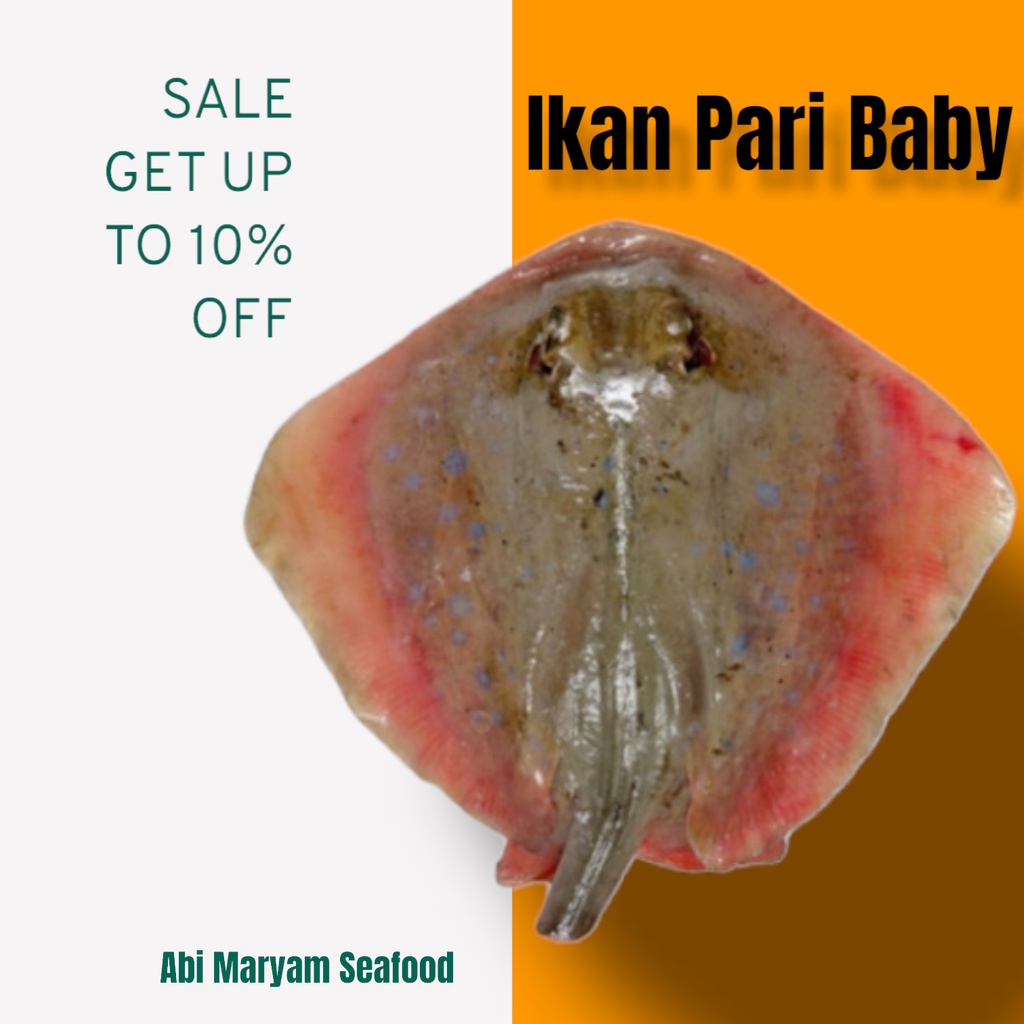 

Ikan Pari Kodok / Baby pari Fresh Berkualitas 1kg