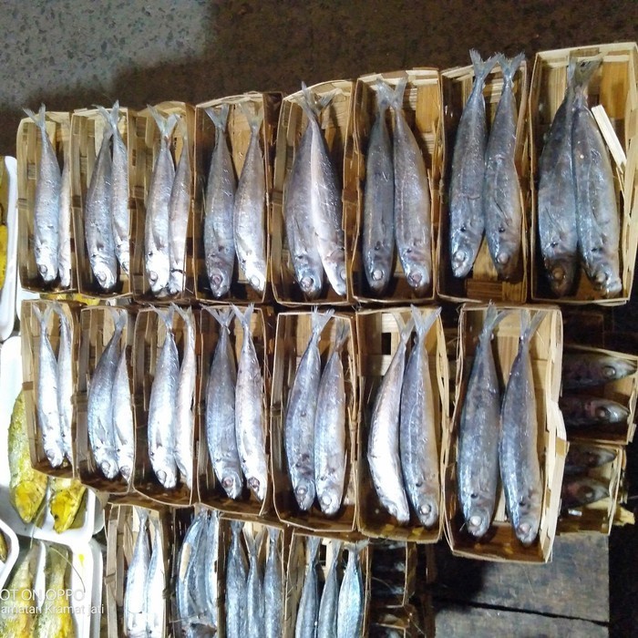 

ikan cuek layang segar isi 2 perkranjang