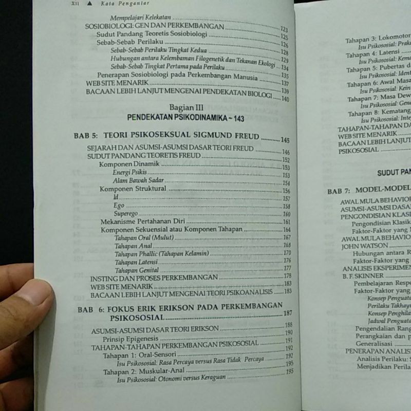 Teori Teori Perkembangan Manusia Dan Aplikasinya Neil J Salkind Buku Original Shopee Indonesia