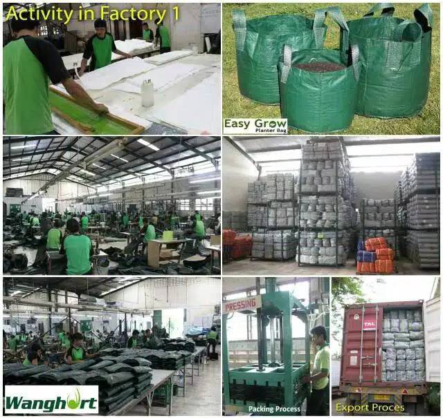 

Planterbag untuk menanam benih buah besar // EASY GROW HIJAU Kualitas Super