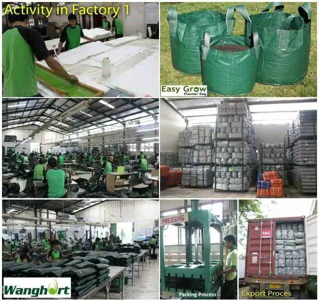 Planterbag untuk menanam benih buah besar // vas bunga go green