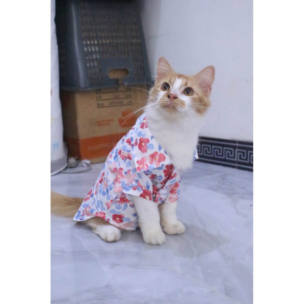 [Bahan adem] baju pantai warna toska lucu untuk kucing dan anjing / baju kucing murah size S M L XL