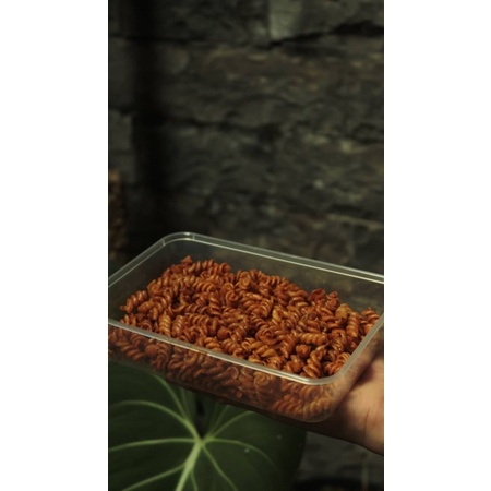 

MAKARONI SPIRAL