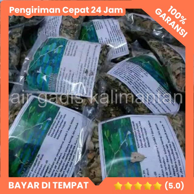 

air gadis kalimantan - DAUN BIDARA KERING ISI 50 Gram