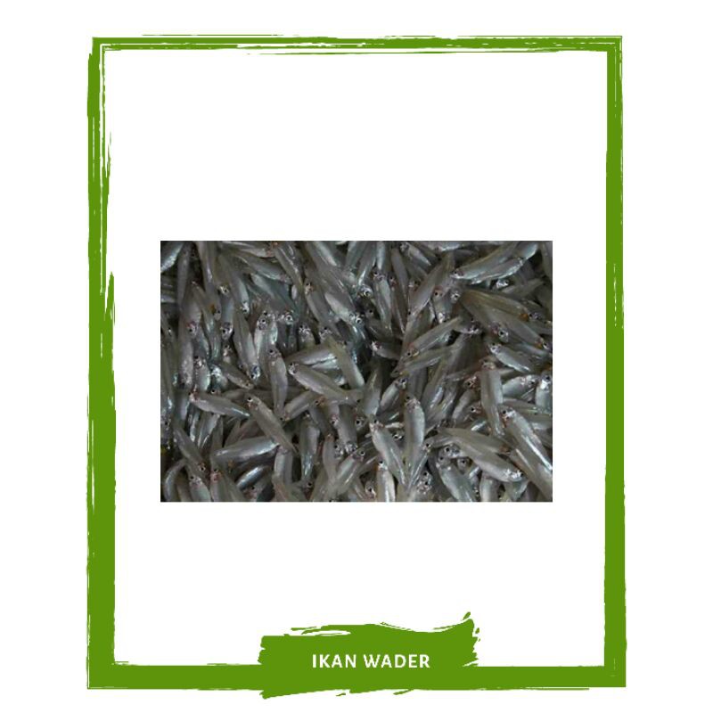 Ikan Wader / Ikan Segar By Mallahrizwa