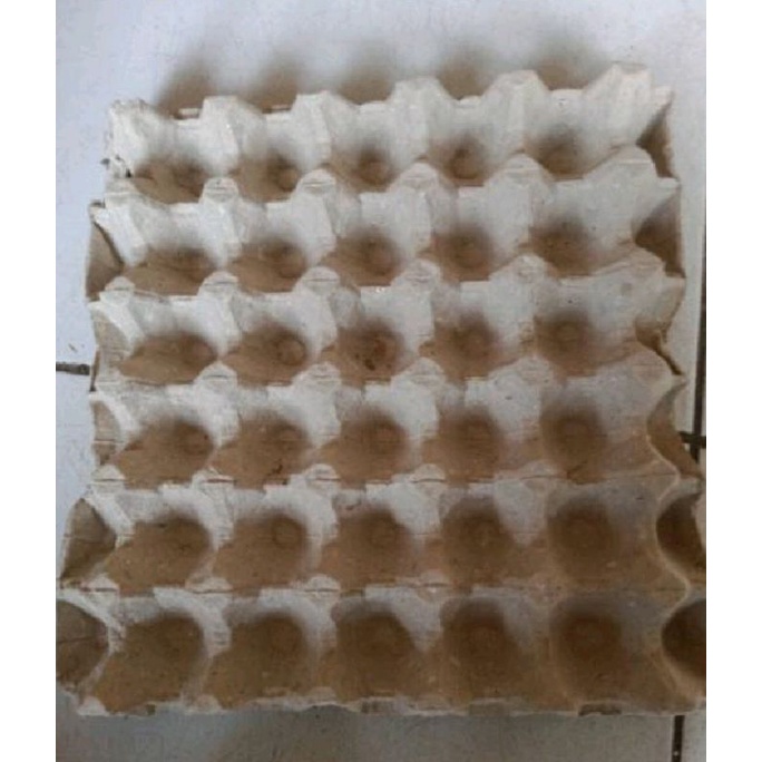 Egg tray bekas per lembar