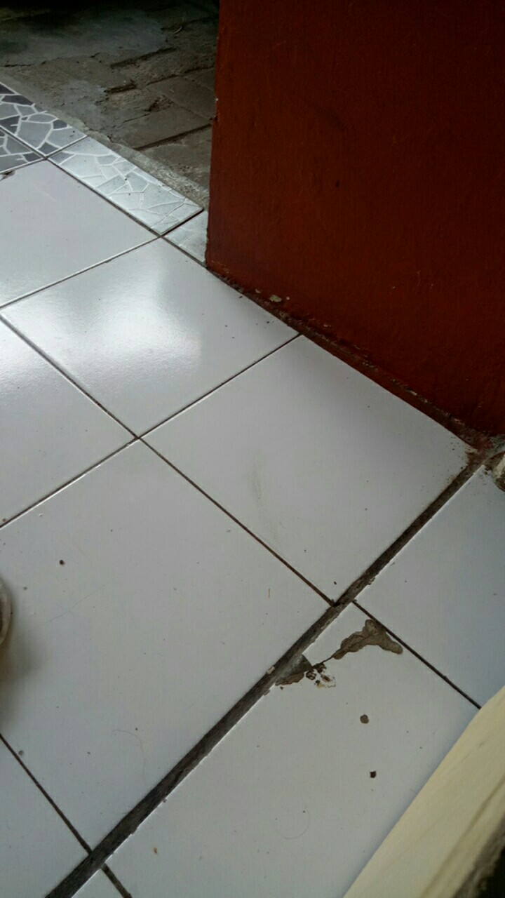 Racun Tikus Celeng Merk Ciaksie Ciak Sie Mati Di Tempat 1 Lembar Isi 30