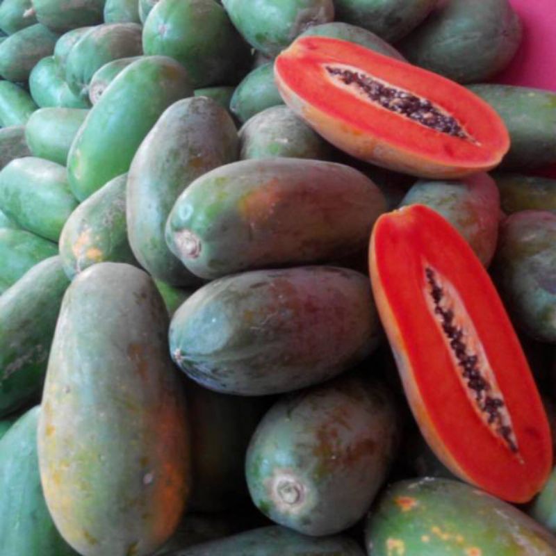 

pepaya California