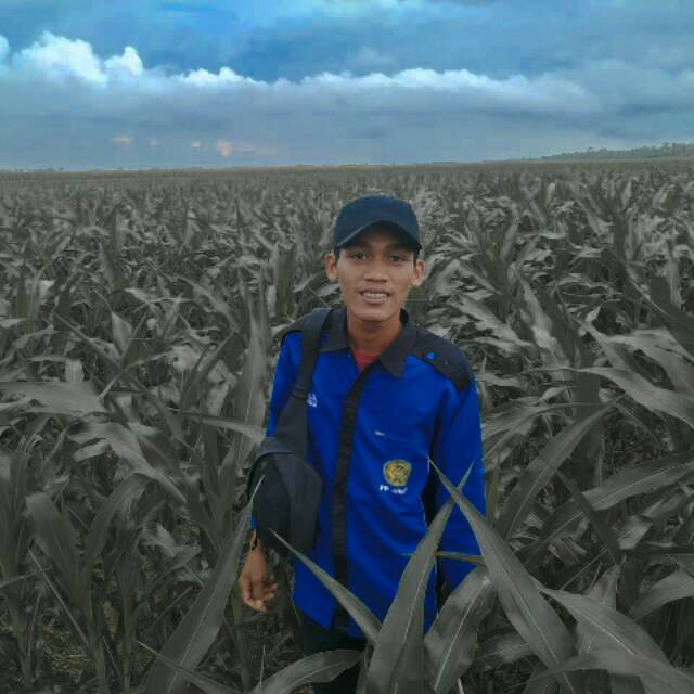 randomallo