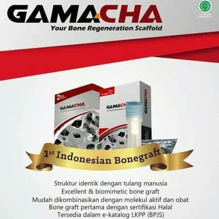 DISKON -  Bone Graft GAMACHA NEW