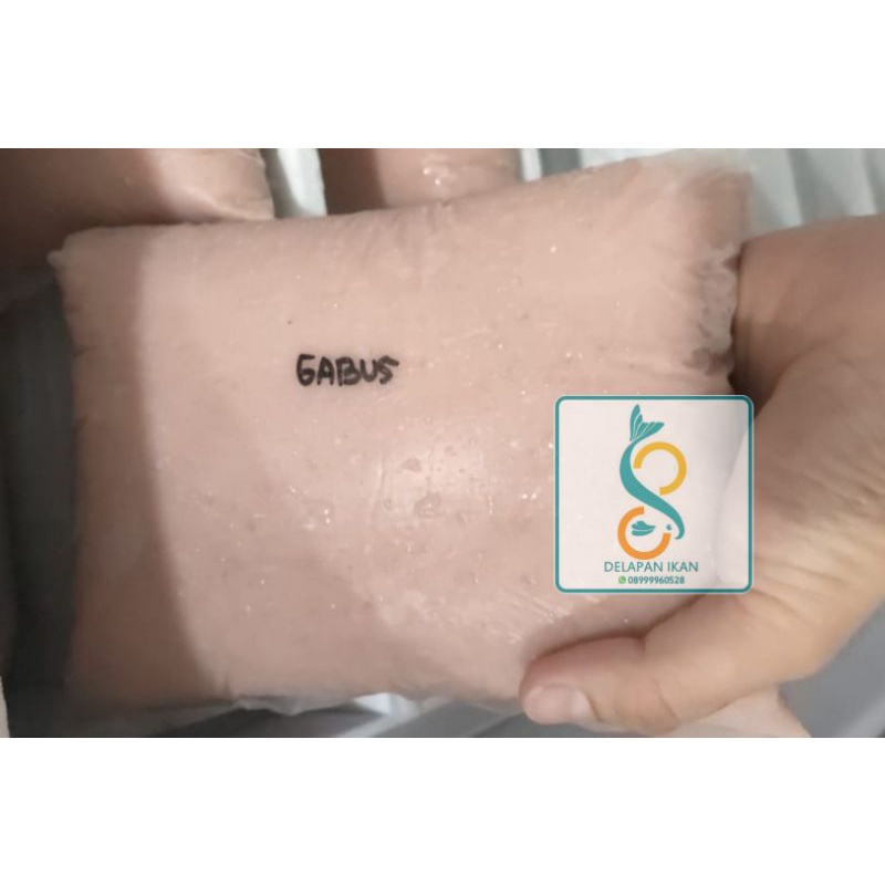 

IKAN GILING GABUS TANGERANG SELATAN JABODETABEK