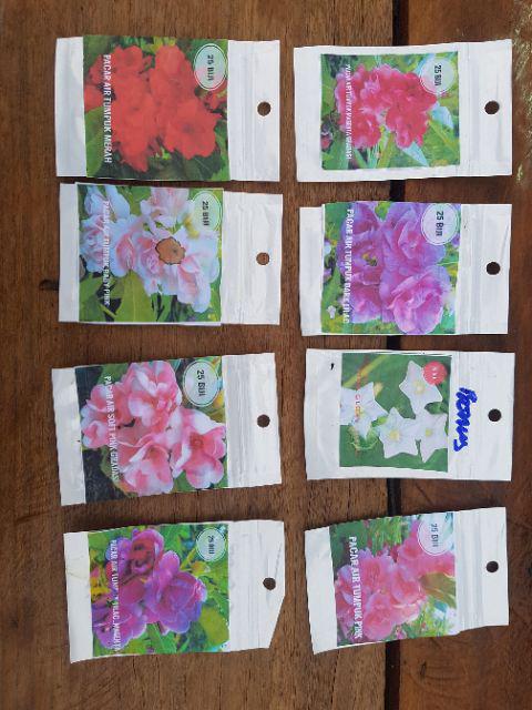 Pacar Air Magenta Gradasi Putih