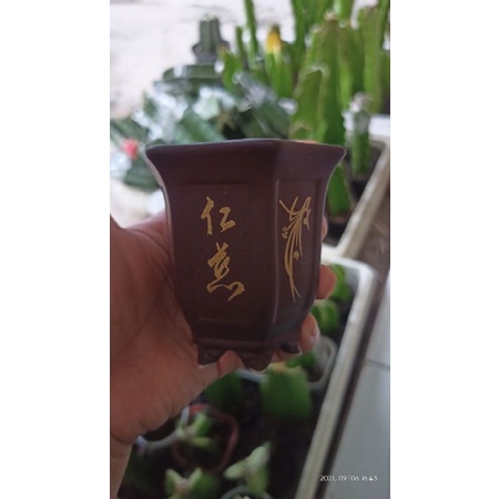 Pot unik pot keramik pot bunga pot bunga