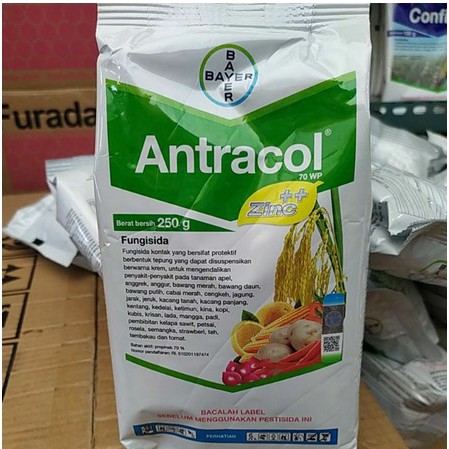 FUNGISIDA ANTRACOL 70 WP ZINC KEMASAN PABRIK 250 GRAM ORIGINAL