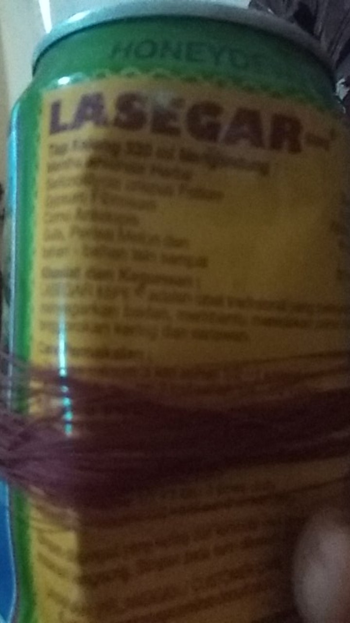 Sapu Lantai Taiwan Dragon/sapu Nilon/penyapu