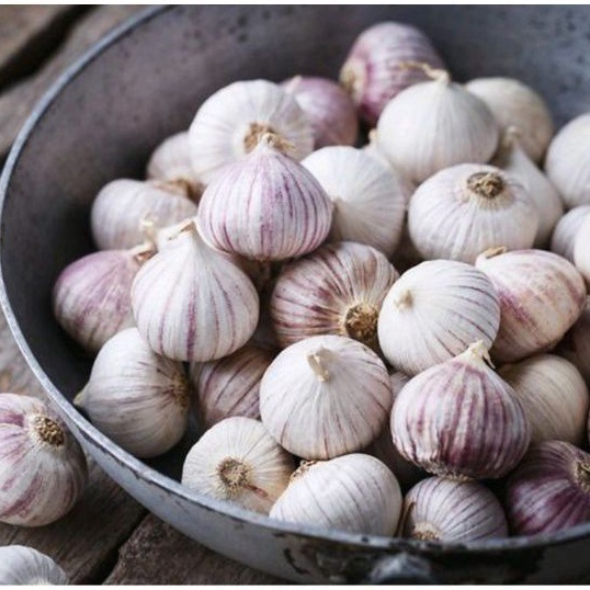 

1KG BAWANG PUTIH TUNGGAL / BAWANG LANANG KUALITAS PREMIUM / BAWANG LANANG SUPER