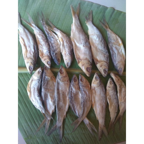 

ikan bandeng kering asin/berat 100gr