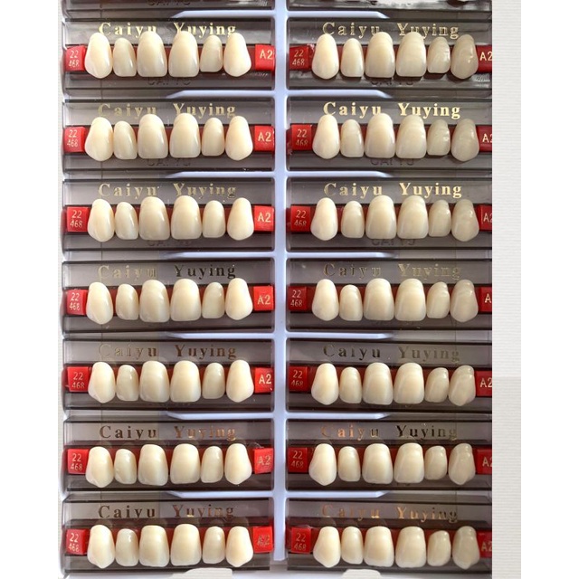 DENTAL GIGI PALSU CAIYU YUYING DEPAN ATAS 1 PAPAN